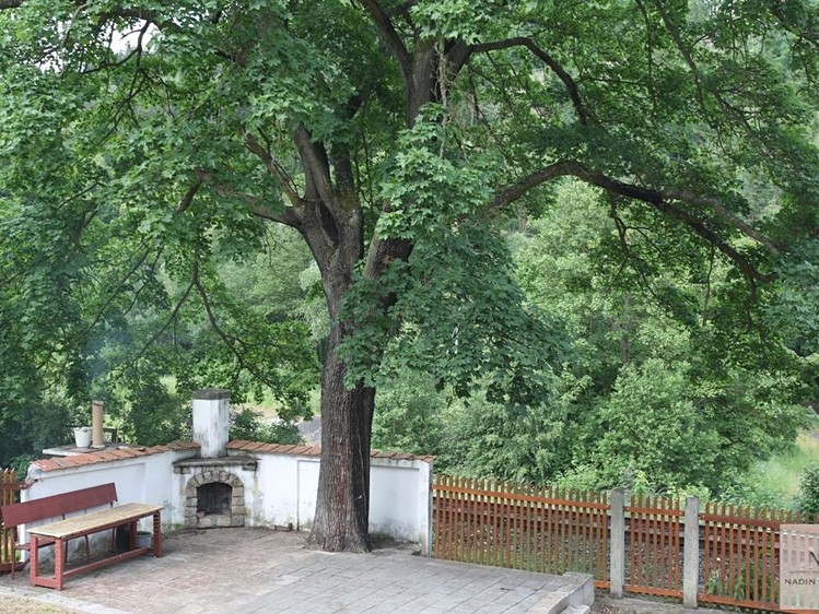 Pronájem vily 250 m², pozemek 1 500 m² - foto 4