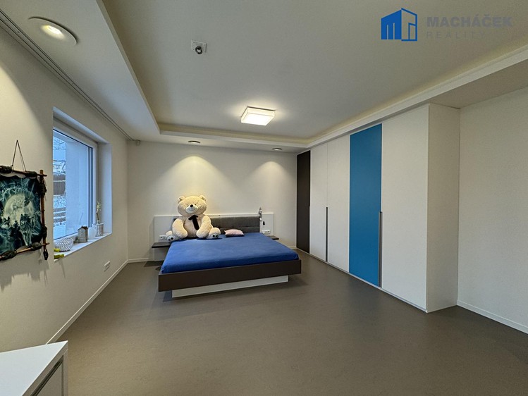 Pronájem rodinného domu 261 m², pozemek 1 505 m² - foto 8