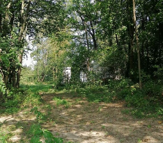 Pronájem  chaty 22 m², pozemek 80 m² - foto 7