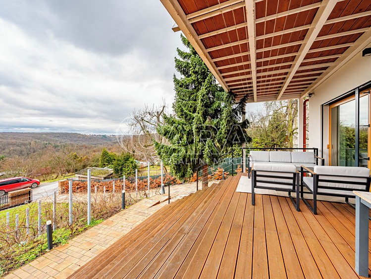 Pronájem vily 393 m², pozemek 775 m² - foto 6