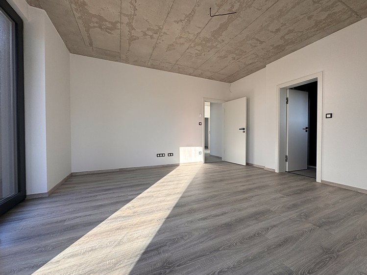 Pronájem rodinného domu 254 m², pozemek 717 m² - foto 8