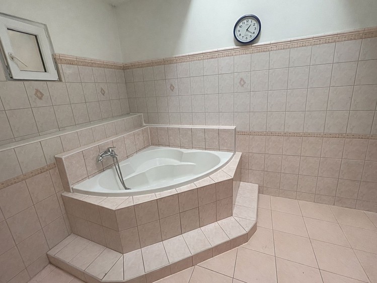Pronájem rodinného domu 450 m², pozemek 1 m² - foto 6