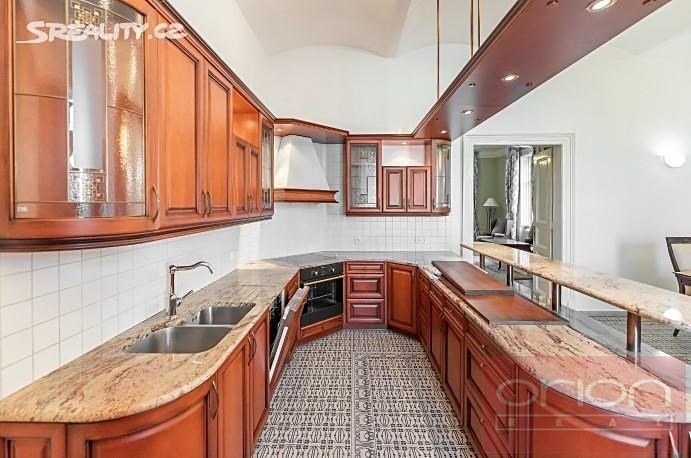 Pronájem rodinného domu 827 m², pozemek 8 770 m² - foto 6
