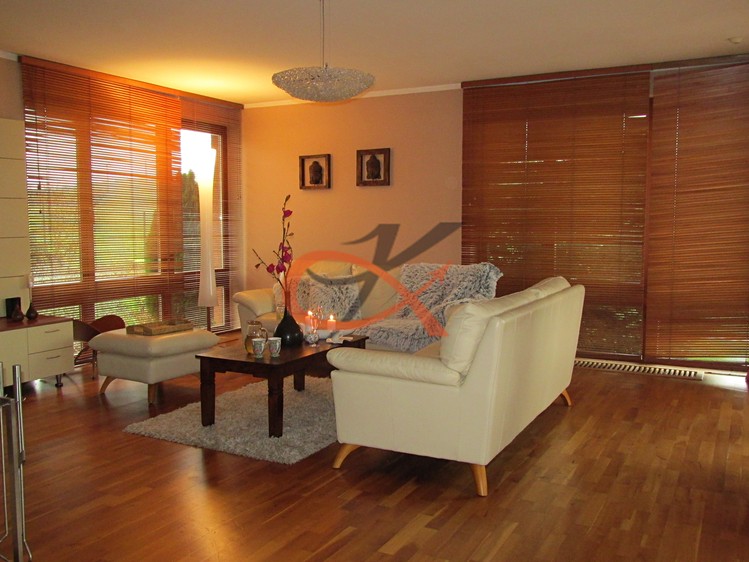 Pronájem rodinného domu 300 m², pozemek 1 500 m² - foto 7