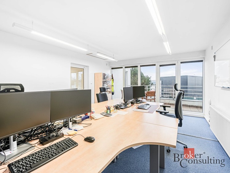 Pronájem  rodinného domu 447 m², pozemek 784 m² - foto 8