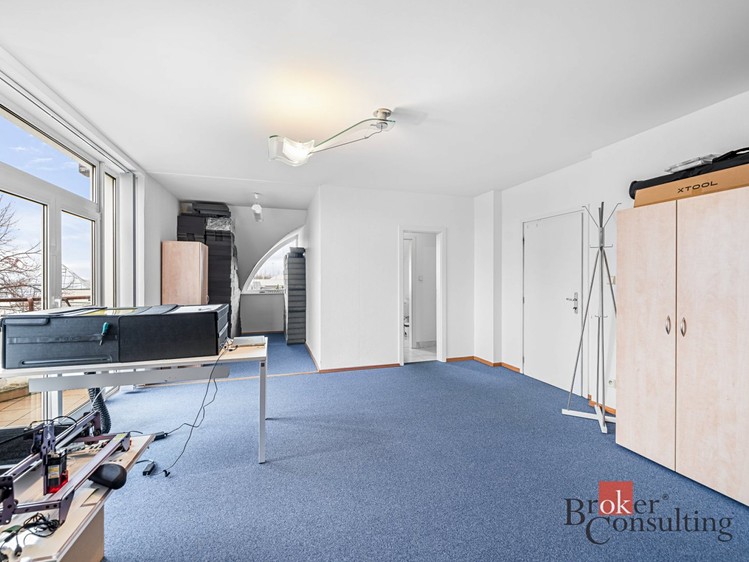 Pronájem  rodinného domu 447 m², pozemek 784 m² - foto 5