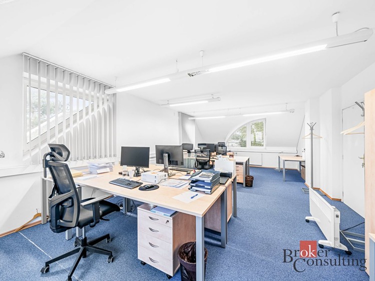 Pronájem  rodinného domu 447 m², pozemek 784 m² - foto 6