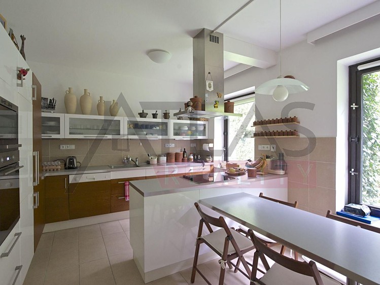 Pronájem rodinného domu 417 m², pozemek 1 000 m² - foto 4