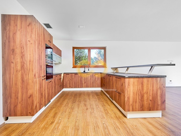 Pronájem  rodinného domu 296 m², pozemek 1 600 m² - foto 4
