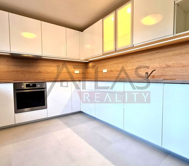 Pronájem rodinného domu 300 m², pozemek 750 m² - foto 3