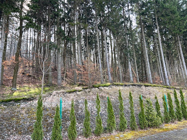 Pronájem chaty 51 m², pozemek 200 m² - foto 5