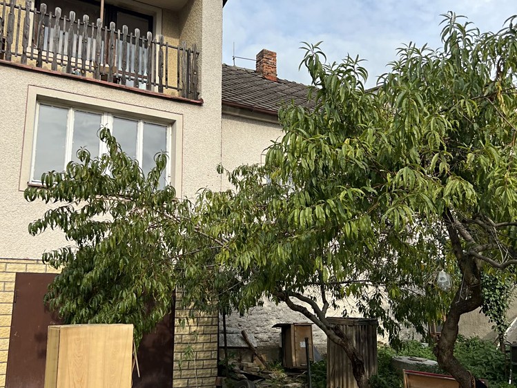 Pronájem rodinného domu 200 m², pozemek 314 m² - foto 5