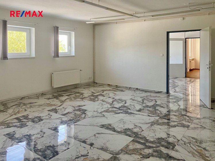Pronájem vily 350 m², pozemek 578 m² - foto 8