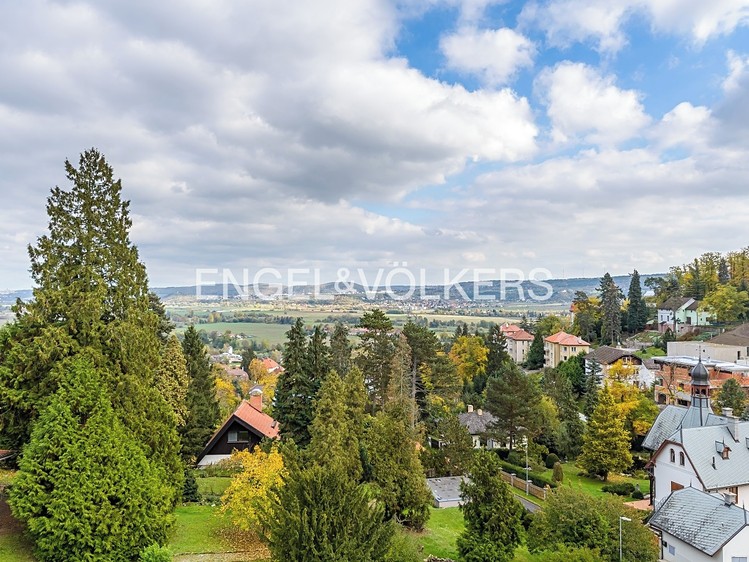 Pronájem vily 356 m², pozemek 1 389 m² - foto 6