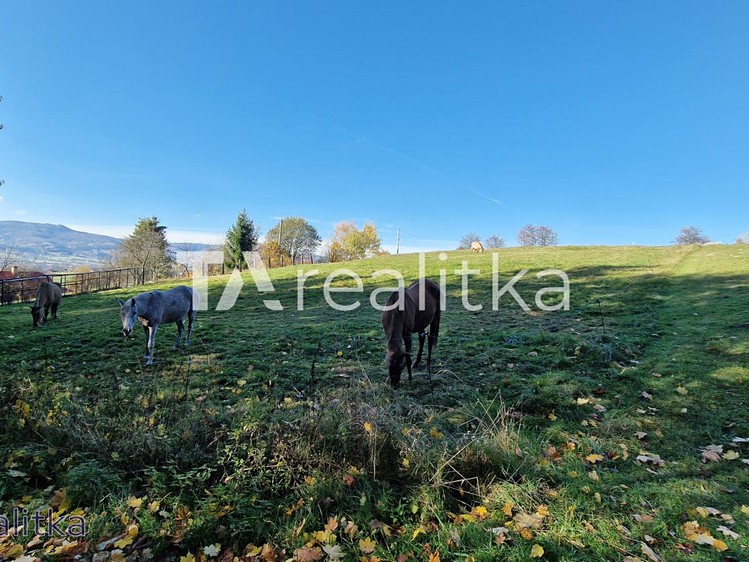 Prodej stavebního pozemku 1 994 m² - foto 8