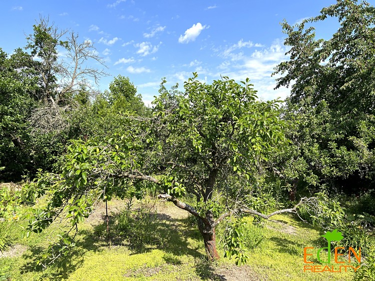 Prodej stavebního pozemku 897 m² - foto 6