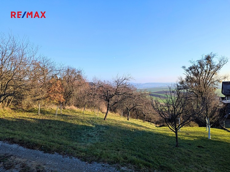 Prodej zahrady 1 754 m² - foto 5