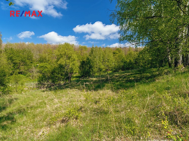 Prodej rybníku (vodní plochy) 8 716 m² - foto 6