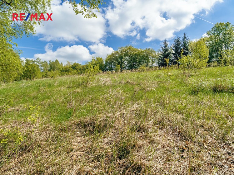 Prodej rybníku (vodní plochy) 8 716 m² - foto 8
