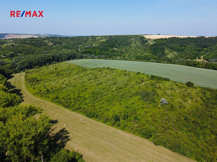 Prodej louky 4 095 m² - foto 1