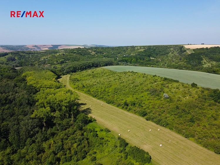 Prodej louky 4 095 m² - foto 4