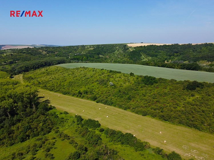 Prodej louky 4 095 m² - foto 6