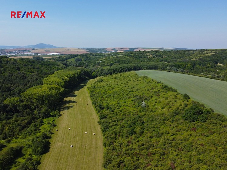 Prodej louky 4 095 m² - foto 8