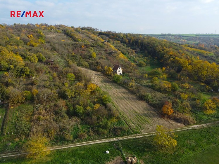 Prodej zahrady 5 488 m² - foto 6