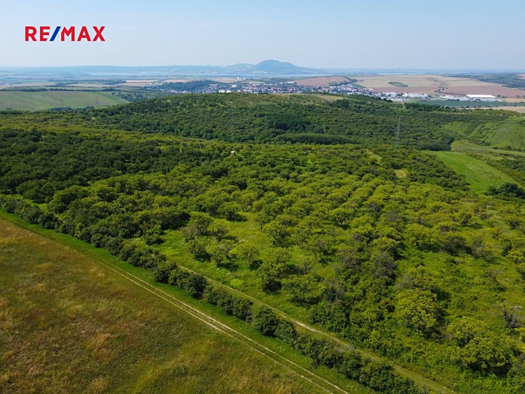 Prodej sadu, vinice 3 780 m² - foto 1