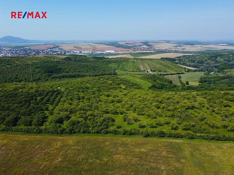 Prodej sadu, vinice 3 780 m² - foto 3
