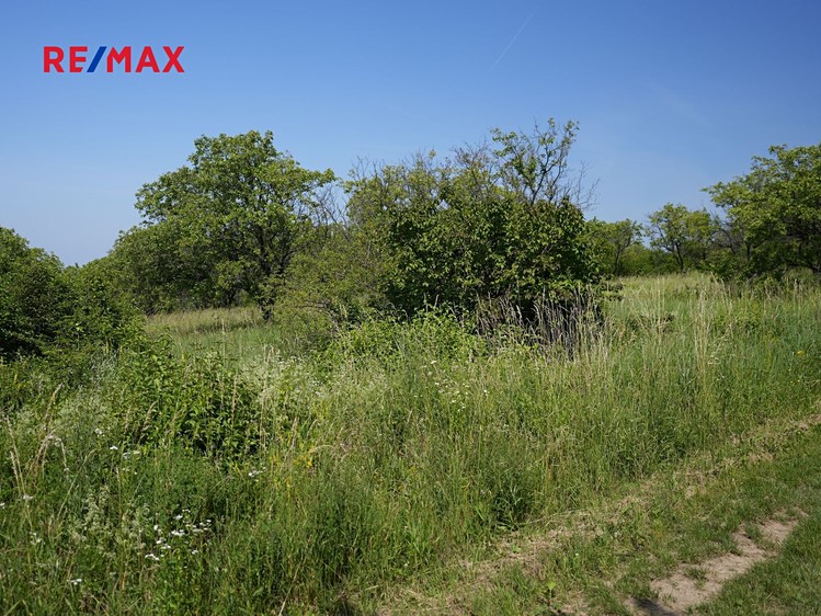 Prodej sadu, vinice 3 780 m² - foto 8