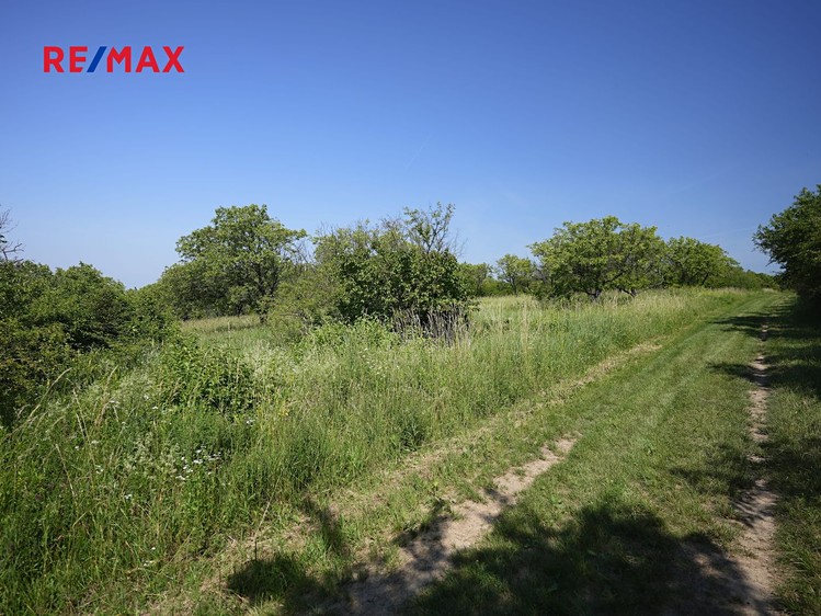 Prodej sadu, vinice 3 780 m² - foto 7