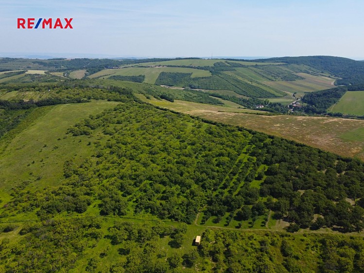 Prodej sadu, vinice 3 780 m² - foto 6