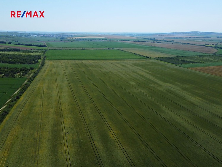 Prodej komerčního pozemku 11 875 m² - foto 1