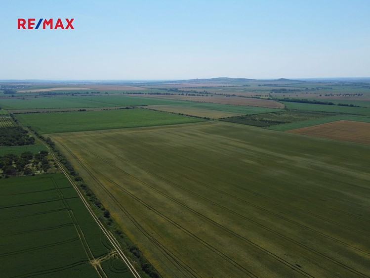 Prodej komerčního pozemku 11 875 m² - foto 3