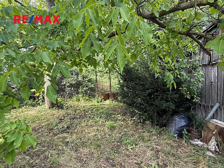 Prodej zahrady 686 m² - foto 5