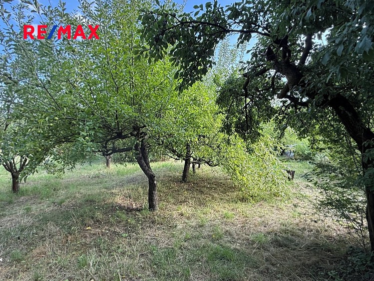 Prodej zahrady 686 m² - foto 8