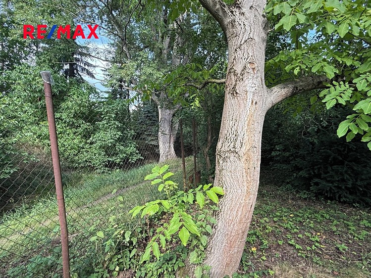Prodej zahrady 686 m² - foto 6