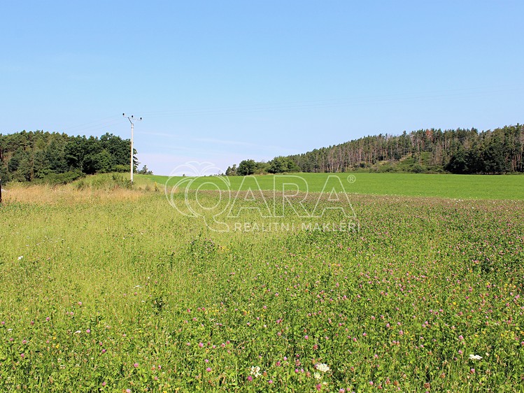 Prodej podílu 1/2 stavebního pozemku 41 779 m² - foto 7