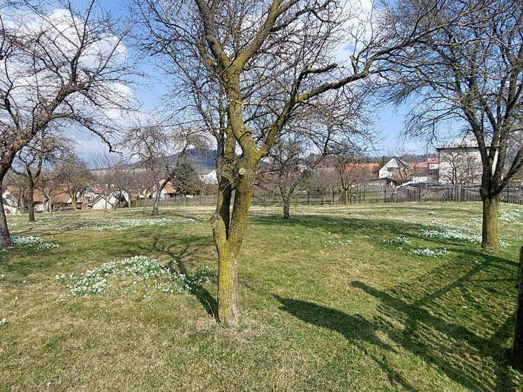 Prodej stavebního pozemku 1 563 m² - foto 3