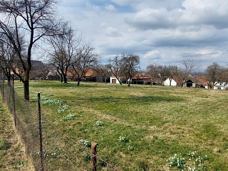 Prodej stavebního pozemku 1 563 m² - foto 5