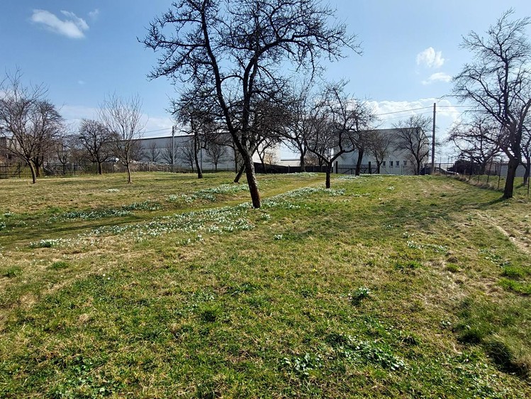 Prodej stavebního pozemku 1 563 m² - foto 6