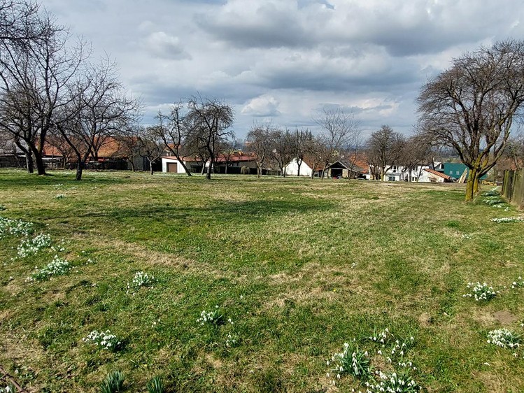 Prodej stavebního pozemku 1 563 m² - foto 8