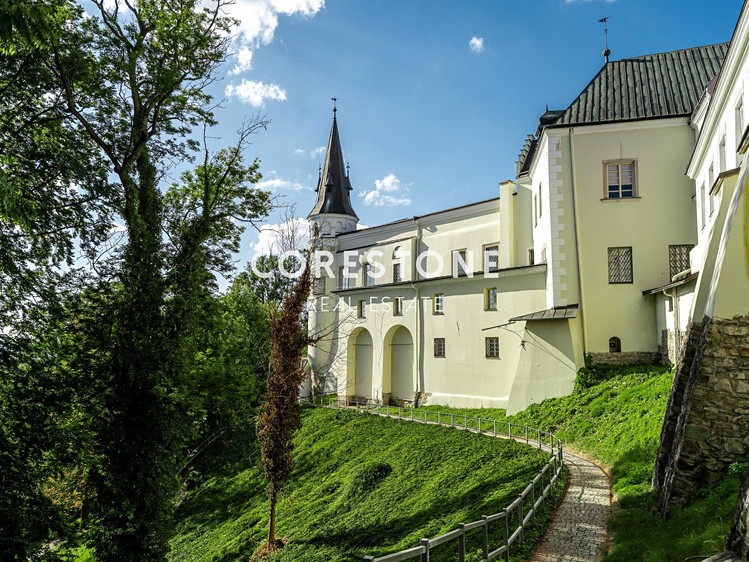 Prodej komerčního pozemku 7 800 m² - foto 3