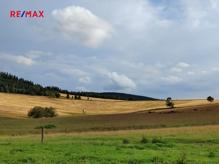 Prodej  stavebního pozemku 1 169 m² - foto 4