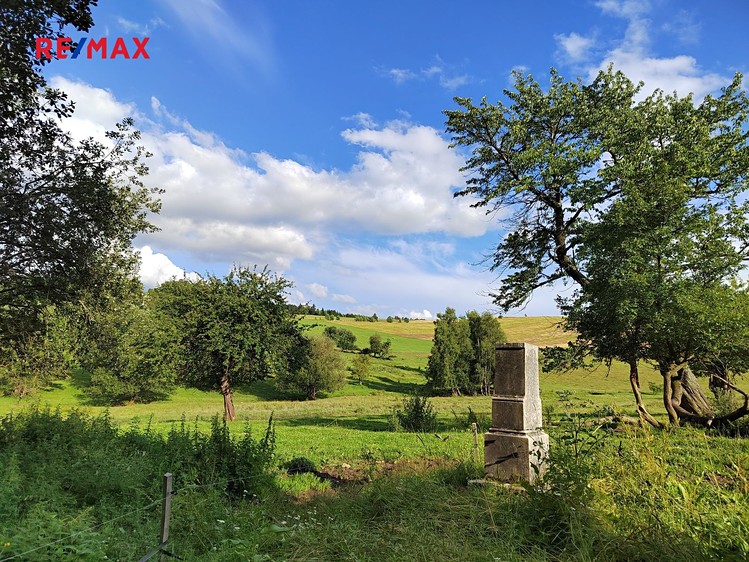 Prodej  stavebního pozemku 1 169 m² - foto 3