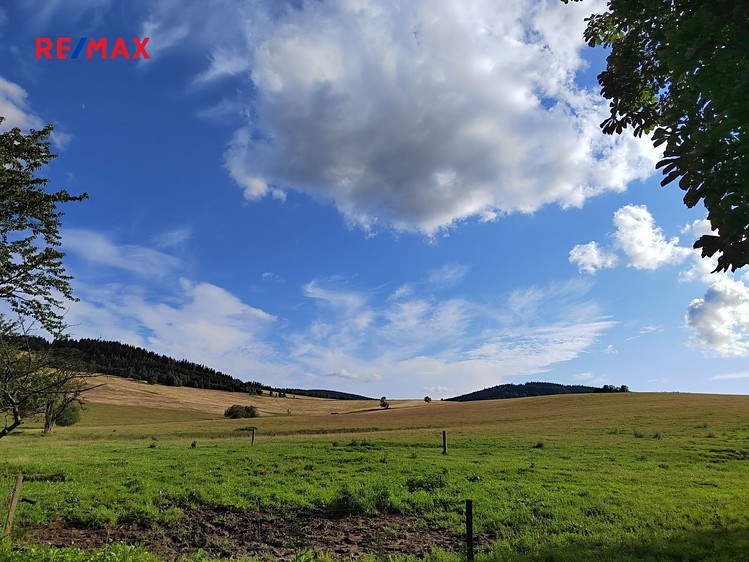 Prodej  stavebního pozemku 1 169 m² - foto 6