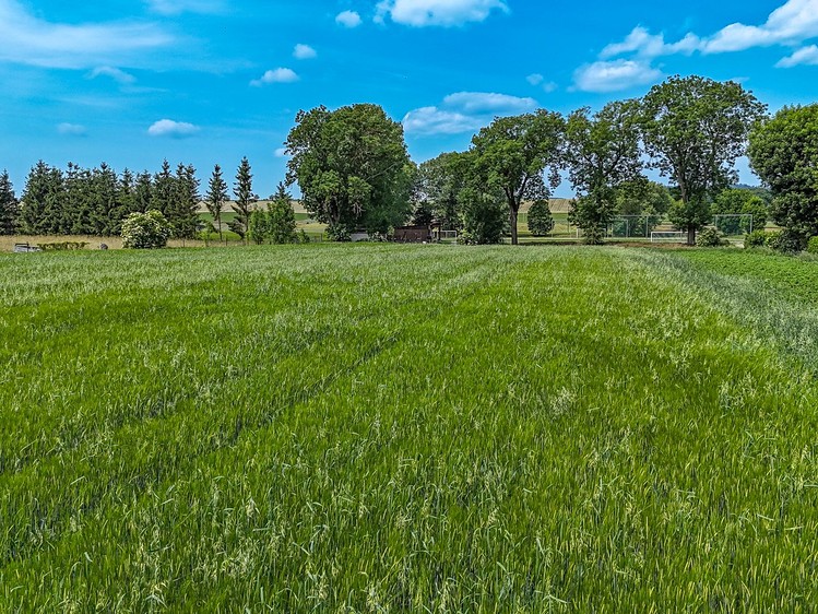 Prodej stavebního pozemku 6 761 m² - foto 7
