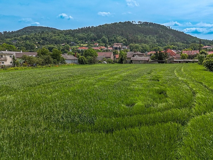 Prodej stavebního pozemku 6 761 m² - foto 6