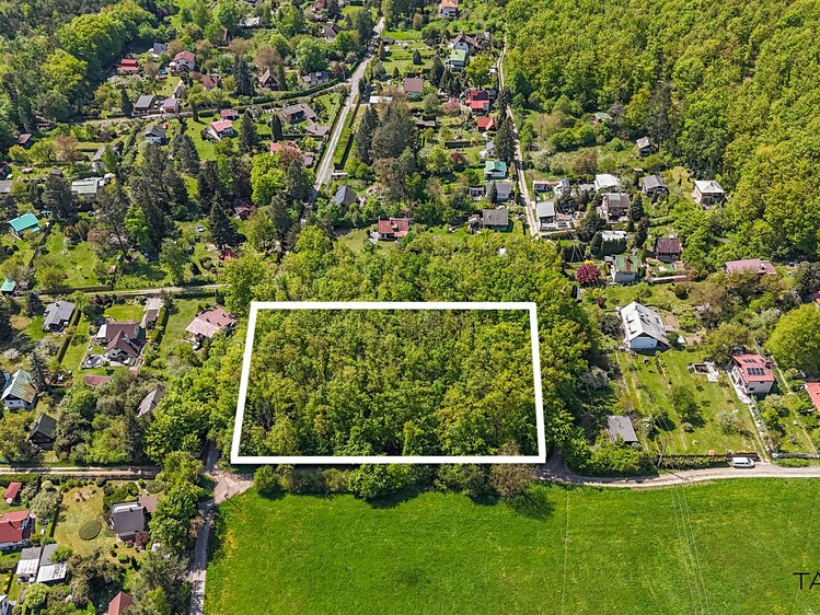 Prodej lesa 6 490 m² - foto 2
